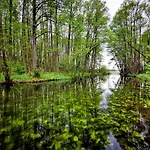 Gospodarstwo Nad Jeziorem * Zalom (Czlopa)