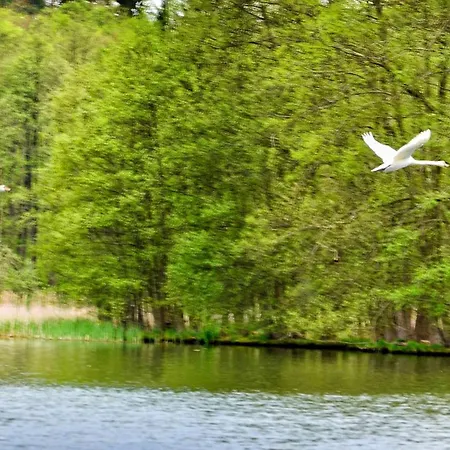 Gospodarstwo Nad Jeziorem Zalom (Czlopa)