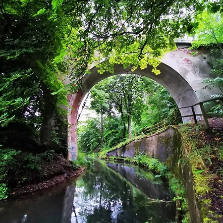 Gospodarstwo Nad Jeziorem Zalom (Czlopa)