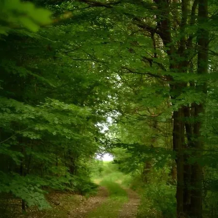 Alojamento de Turismo Rural Gospodarstwo Nad Jeziorem
