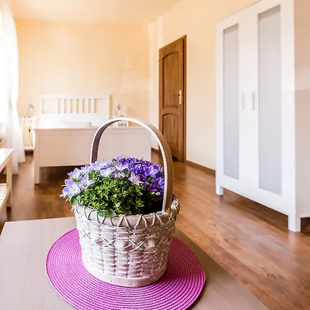 Gospodarstwo Nad Jeziorem Farm stay