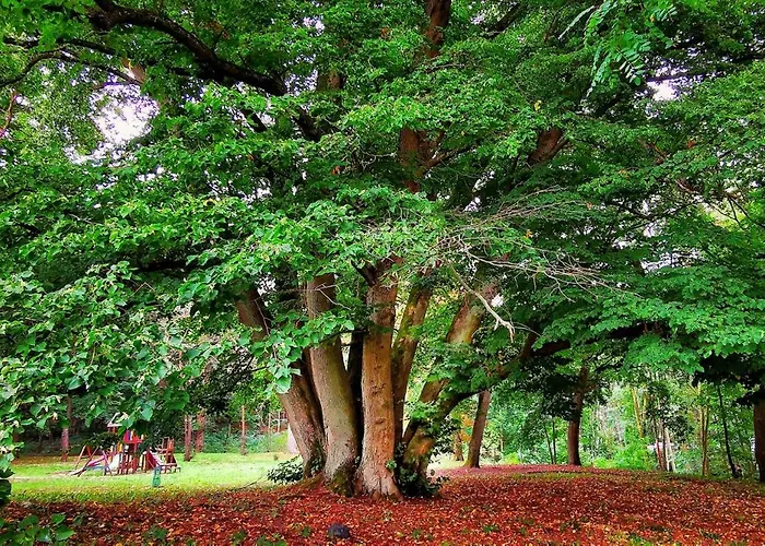Gospodarstwo Nad Jeziorem Agroturismo Zalom (Czlopa)