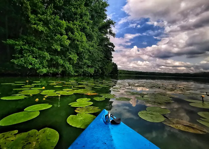 Gospodarstwo Nad Jeziorem