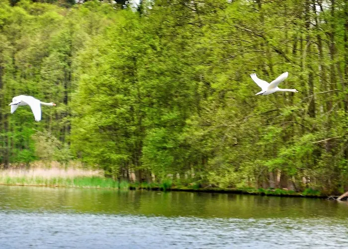 Gospodarstwo Nad Jeziorem Zalom (Czlopa)