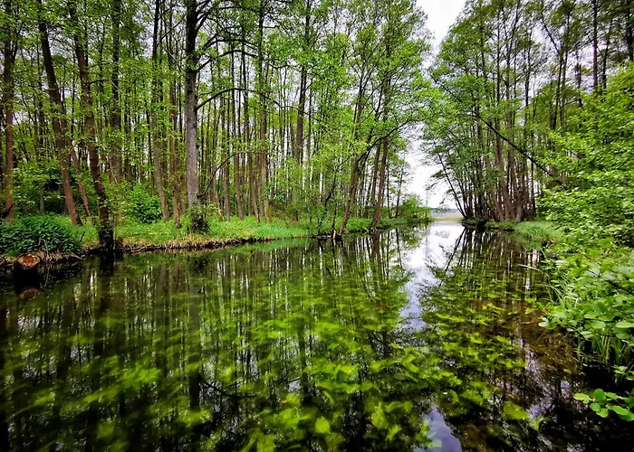 Gospodarstwo Nad Jeziorem * Zalom (Czlopa)