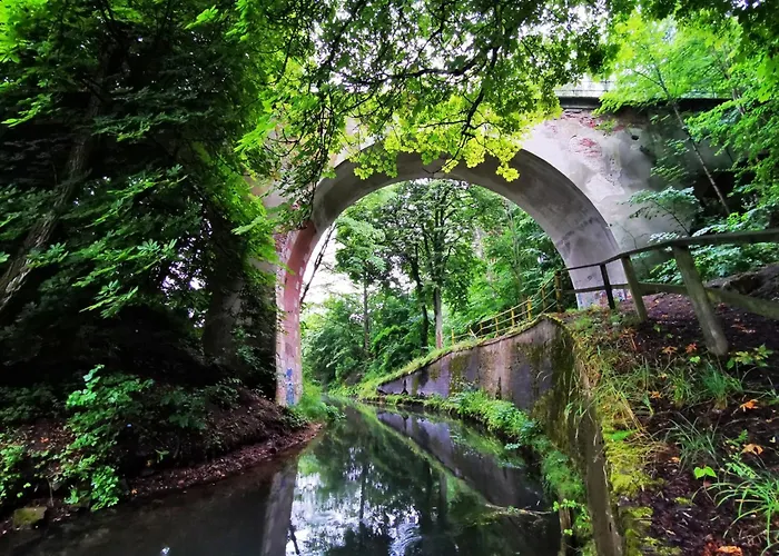 Gospodarstwo Nad Jeziorem Zalom (Czlopa)