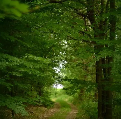 Vakantieboerderij Gospodarstwo Nad Jeziorem